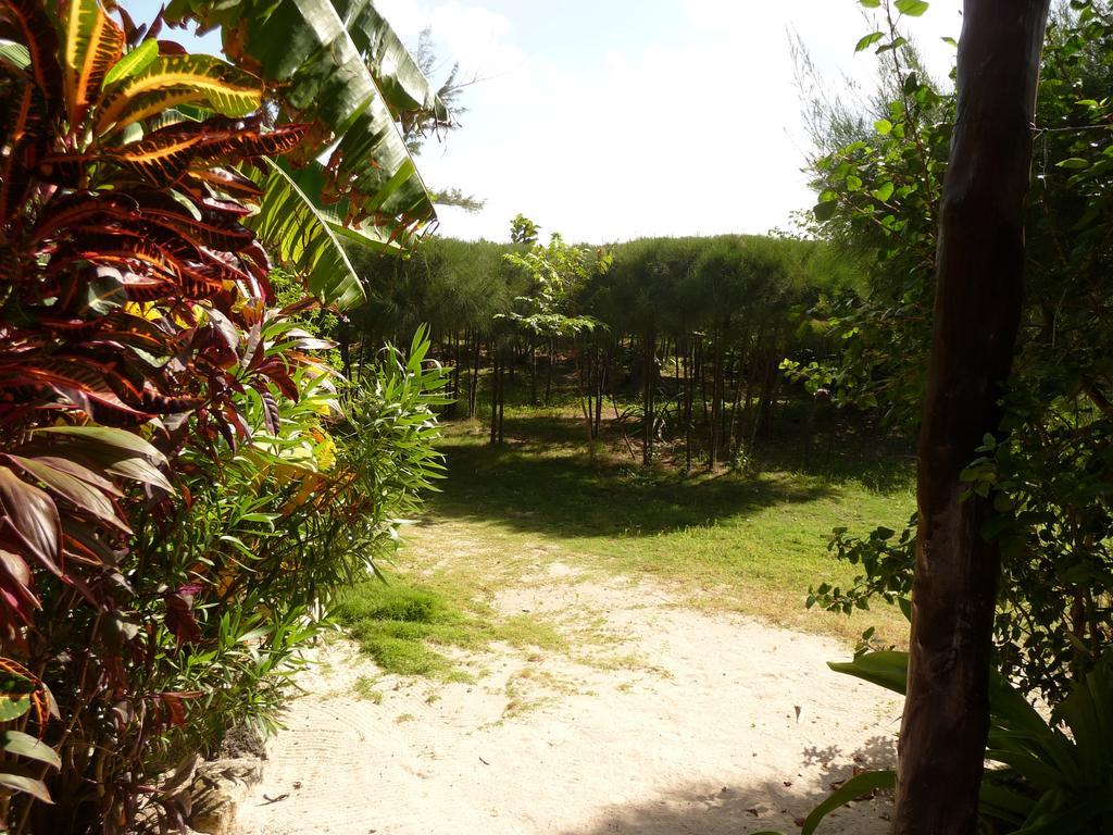 Rancho Sakol Hotel Puerto Morelos Ngoại thất bức ảnh