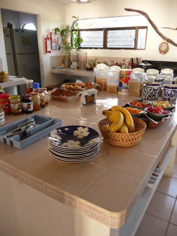 Rancho Sakol Hotel Puerto Morelos Ngoại thất bức ảnh
